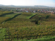 Blick von der Gausbergh�tte nach Westen auf K�nigschaffhausen am 6.11.2006