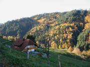 Blick vom Limberg nach Westen übers Gabel-Tälchen am 15.11.2006 - links unten der Kohlenmeiler