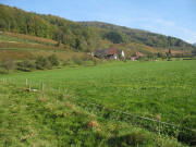 Blick nach Nordosten zum Lindingerhof am 6.11.2006
