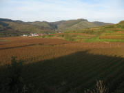 Blick vom Roteb�hl nach Nordosten �ber Oberbergen zum Staffelberg am 6.11.2006 abends