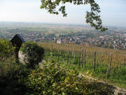 Blick von der Stieleiche oben am �lberg nach Westen auf Ehrenkirchen am 11.10.2006 