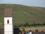 lick nach Westen �ber Pfaffenweiler zum Batzenberg am 10.11.2006