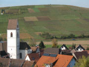 Blick nach Westen über Pfaffenweiler zum Batzenberg am 10.11.2006