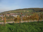 Blick vom Fuß des Kirchhofer Bergs nach Norden zum Äußeren Berg am 10.11.2006