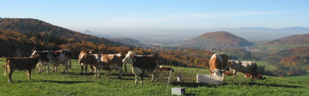 Blick vom Salenberg oberhalb Sölden nach Südwesten zum Staufener Burgberg und Ölberg am 15.11.2006
