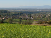 Tele-Blick vom Lerchensand ob Mauchen nach Westen auf Schliengen am 2.11.2006