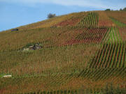 Tele-Blick von der Schlo�strasse nach Norden zum Schlo�berg am 6.11.2006
