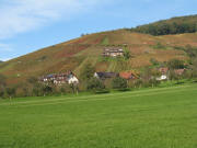 Blick  nach Nordesten zum Schlo�berg in Glottertal am 6.11.2006