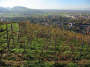 Blick vom Rebberg nach Süden über Staufen bis Grunern am 15.11.2006