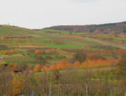 Blick von Obereggenen hoch zum Steinenkreuzle am 20.11.2006 sp�t nachmittags bei Sonnenuntergang