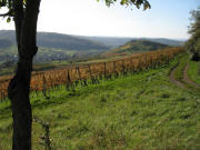 Blick nach S�dwesten zum Freudenberg ob Niedereggenen am 2.11.2006
