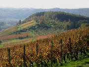Tele-Blick nach S�dwesten zum Freudenberg ob Niedereggenen am 2.11.2006
