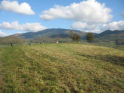 Blick nach Nordosten �bers Steinenkreuzle zum Blauen am 2.11.2006
