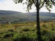 Blick vom Steinenkreuzle nach S�dosten auf Niedereggenen am 2.11.2006