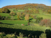Blick vom Stollenweg nach Norden über den Oberen Heimbachweg hoch zum Schönberg am 15.11.2006