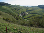 Blick nach Osten �ber Vogtsburg zum Vogelsang-Pass am 22.10.2006