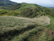 Blick nach Westen �ber den H�henweg zum Hochberg - links Alt-Vogtsburg