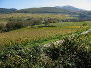 Blick nach Osten �ber den Zunzinger Mattbach auf Zunzingen, Rosenberg bis zum Blauen am 26.10.2006