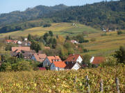 Tele-Blick vom Britzinger Weg zur Philipps-Linde nach Norden �ber Britzingen nach Muggarth am 26.10.2006