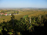 Blick vom Fohrenberg nach Nordwesten �ber Wettelbrunn zum Kaiserstuhl am 26.10.2006