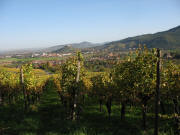 Blick vom Weingut Probst nach S�den �ber Staufen zum Sch�nberg am 26.10.2006