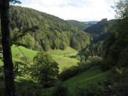 Blick von der Wagensteigstrasse nach Osten in den Holzschlag am 5.10.2006