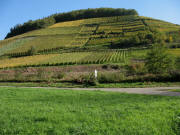 Blick vom Sulzbach nach Norden zum Kastelberg am 26.10.2006