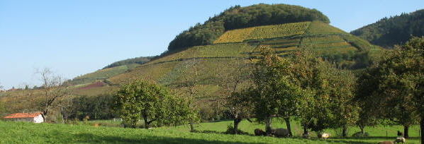 Blick vom Sträßchen Sulzburg-Laufen nach Norden zum Castellberg und Fohrenberg (links) am 26.10.2006