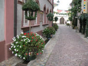 Blumen mit Laternen �berm B�chle: Blick nach Norden in der Konviktstrasse am 1.11.2006