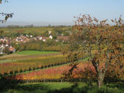 Blick vom Homberg nach Westen auf Laufen am 26.10.2006