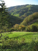 Blick vom Trupeleshof nach S�den zum Brandenberg am 26.10.2006