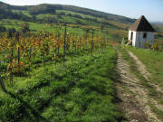 Blick nach S�den auf dem Muggarther Berg zum Rebh�usle am 26.10.2006