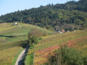 Blick nach Norden auf Muggardt und den Muggarther Berg am 26.10.2006