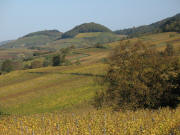 Blick von Muggarth nach Norden �ber die weinh�nge zu Kastellberg und Fohrenberg am 26.10.2006