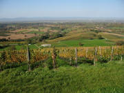 Blick nach Westen vom Muggarther Berg auf Laufen St.Ilgen und G�tigheim (von rechts) am 26.10.2006