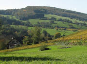 Blick vom Wanderparkplatz Kohlpfad nach S�den �ber Muggarth (links) in Richtung Ruine Neuenfels