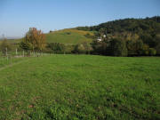 Blick vom Buchmattweg ob Britzingen nach Norden zum Muggarther Berg