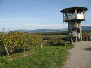 Blick nach Nordosten zum Aussichtsturm am Tuniberg bei Opfingen am 22.10.2006