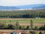 Tele-Blick nach Osten �ber den Mooswald auf Freiburg am 22.10.2006