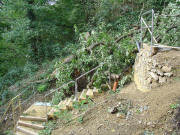 Sturmsch�den an der neuen Schlo�bergtreppe oberhalb kleiner Kanonenplatz 10/2006