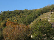 Blick von der Dreisam nach Norden hoch zum Schlo�bergturm  am 26.10.2006  