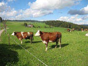 Blick von S�den zum Birkwegerlehof am 5.10.2006