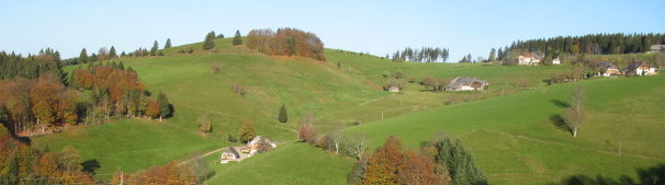 Blick vom Unteren K�ppelehof nach Nordwesten �ber Harzloch (links) zum Gie�h�bel am 26.10.2006