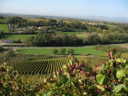 Blick vom Neuberg nach Osten �ber den Camping Sulzburg gen Laufen am 26.10.2006