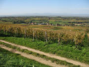 Blick von der H�tte am Rosenberg nach Westen auf Zunzingen am 26.10.2006