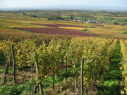 Blick vom Hanselbrunnen nach Westen auf Zunzingen am 26.10.2007