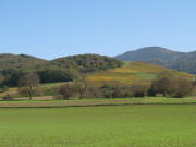 Blick vom Kirschb�umlebuck zwischen Zunzingen und M�llheim zum Innerberg ob Niederweiler am 26.10.2006