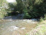 Blick nach Osten am 2.9.2006 beim Ebneter Wasserwerksteg: Von rechts flie�t die Brugga in die Dreisam