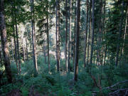 Blick nach S�den ins Erlenbachtal am 21.9.2006