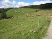 Blick nach Westen zur Erlenbacher H�tte am 5.9.2006